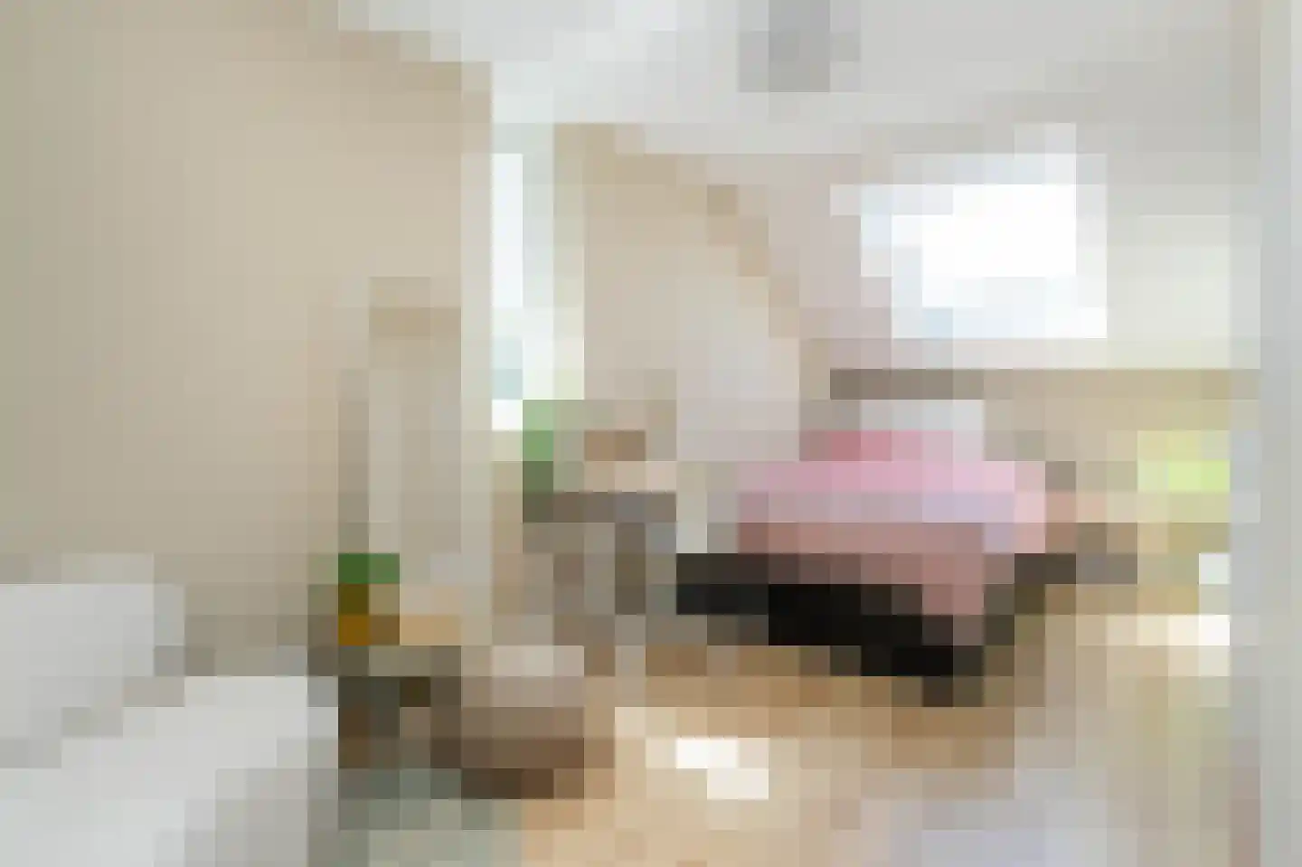 Gravin Gertrude 6 Huizen thumbnail 25