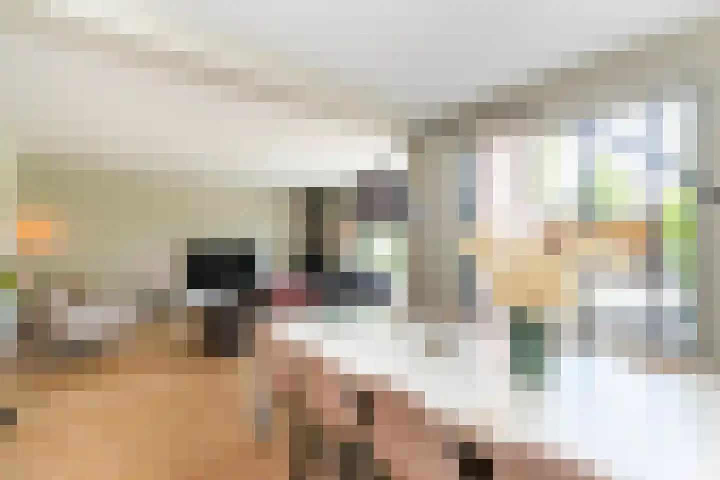 Gravin Gertrude 6 Huizen thumbnail 5