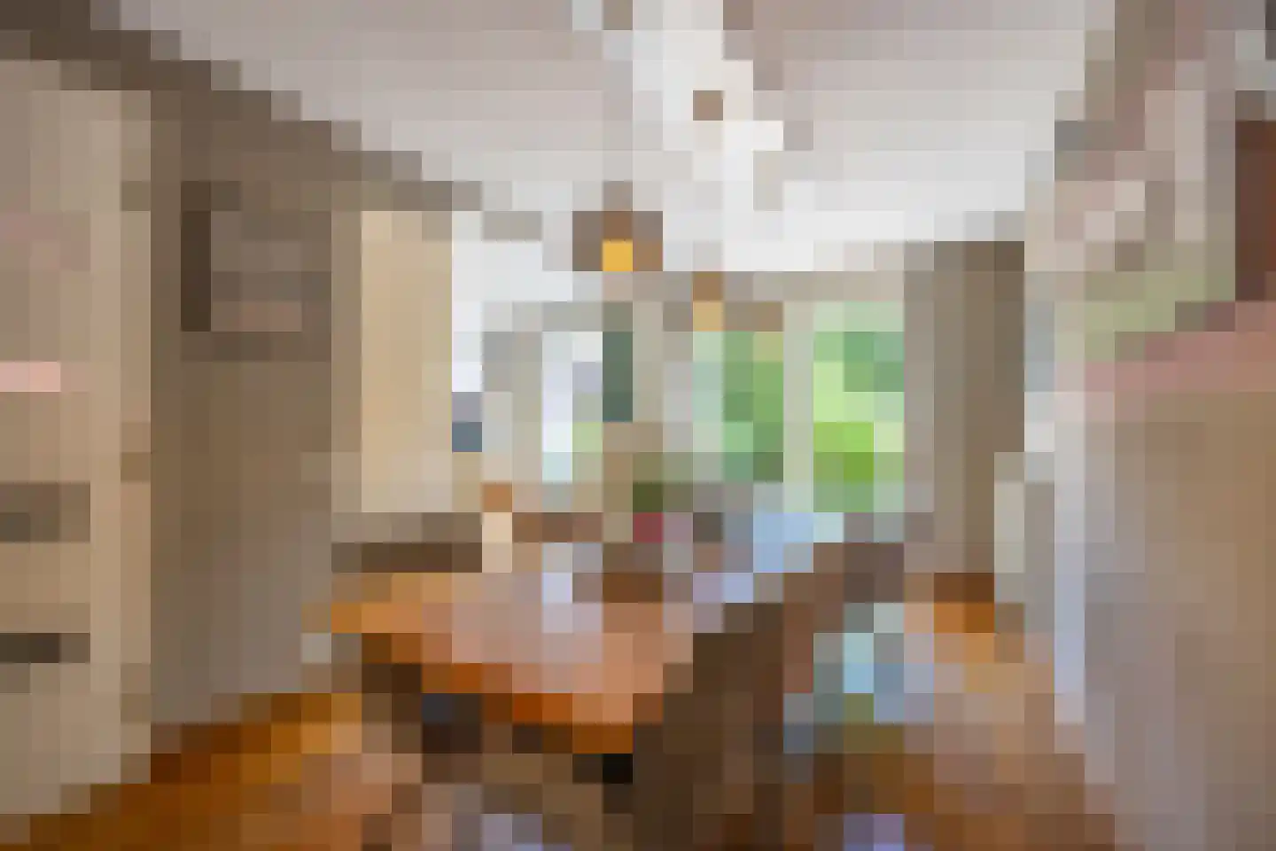 Gravin Gertrude 7 Huizen thumbnail 12