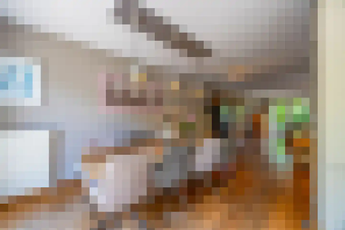 Gravin Gertrude 7 Huizen thumbnail 13