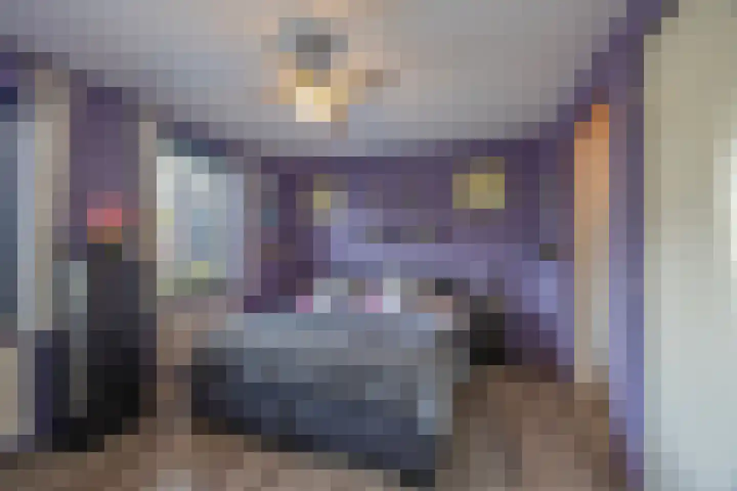 Gravin Gertrude 7 Huizen thumbnail 18