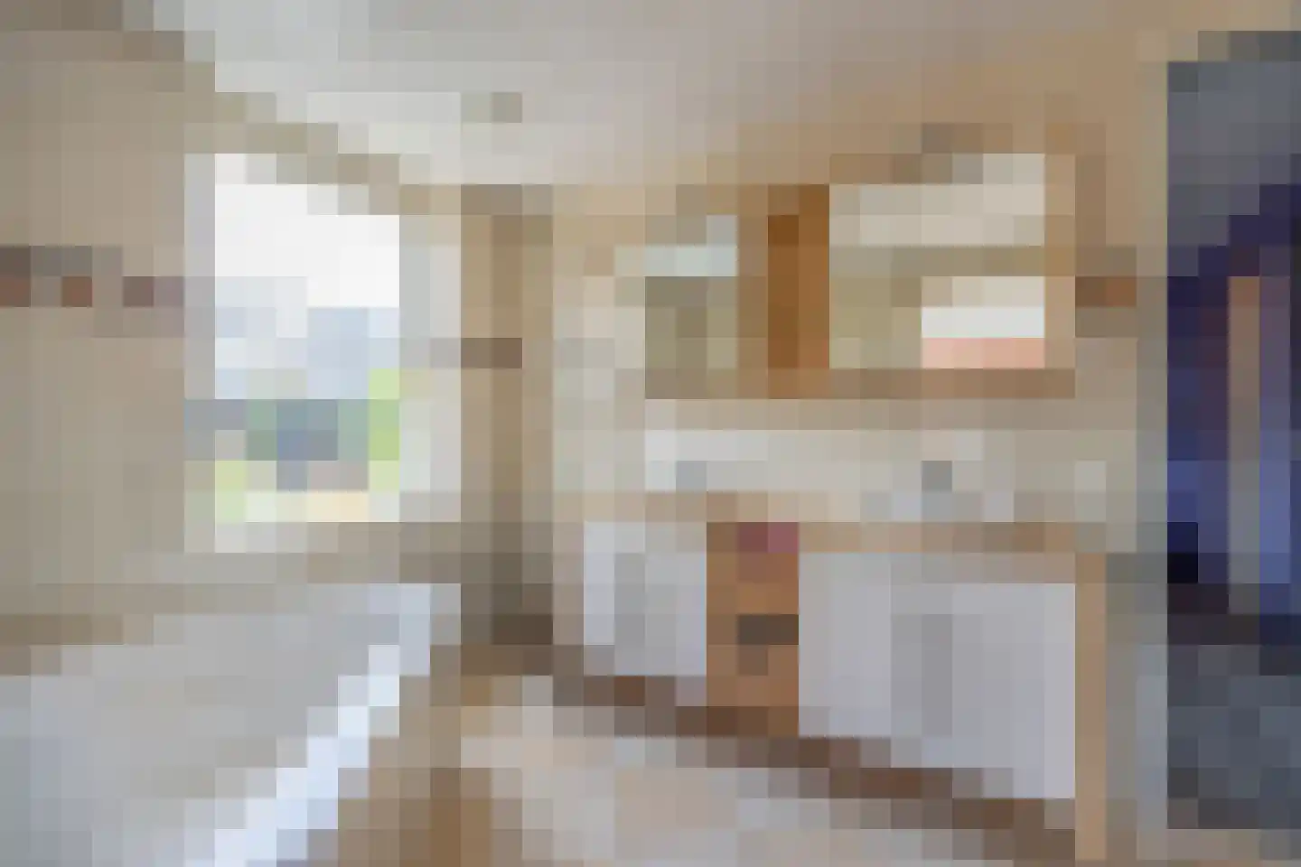Gravin Gertrude 7 Huizen thumbnail 23