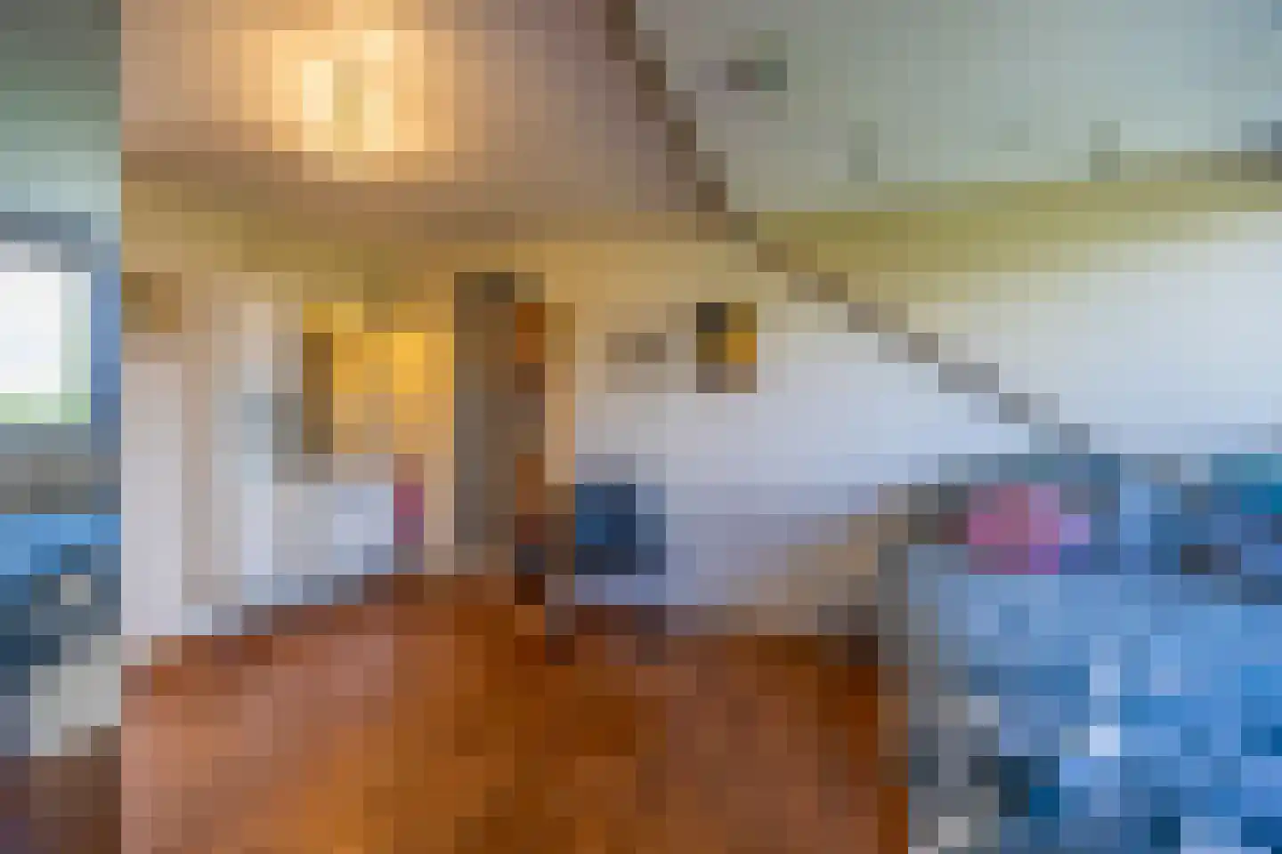 Gravin Gertrude 7 Huizen thumbnail 29