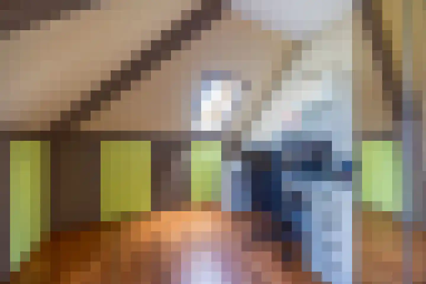 Gravin Gertrude 7 Huizen thumbnail 30