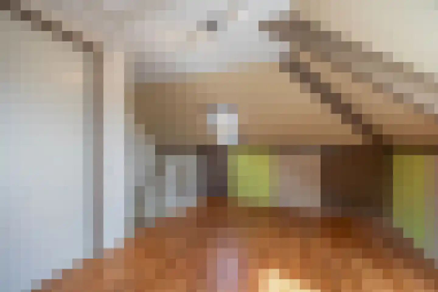 Gravin Gertrude 7 Huizen thumbnail 32
