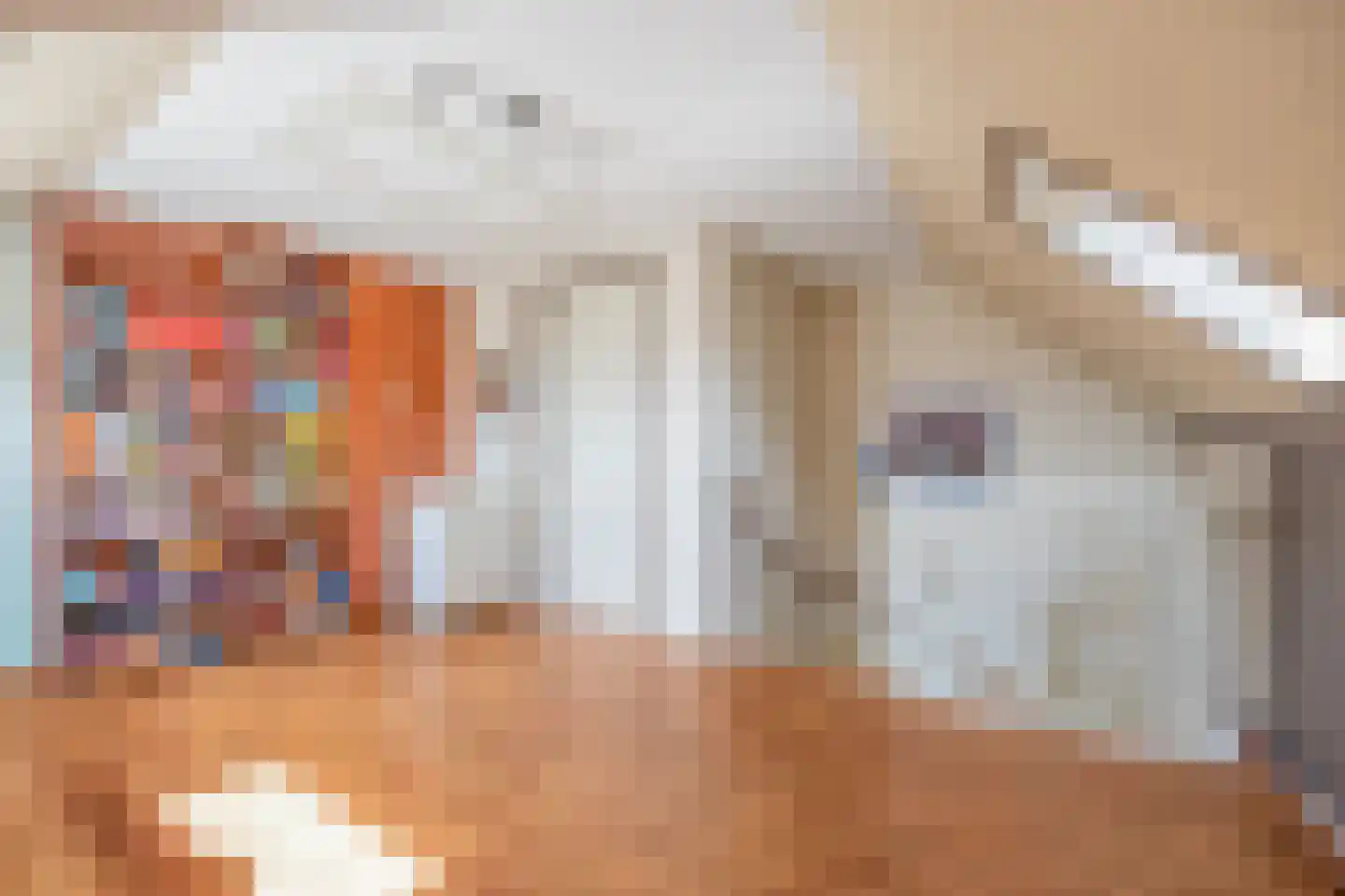 Gravin Gertrude 7 Huizen thumbnail 33