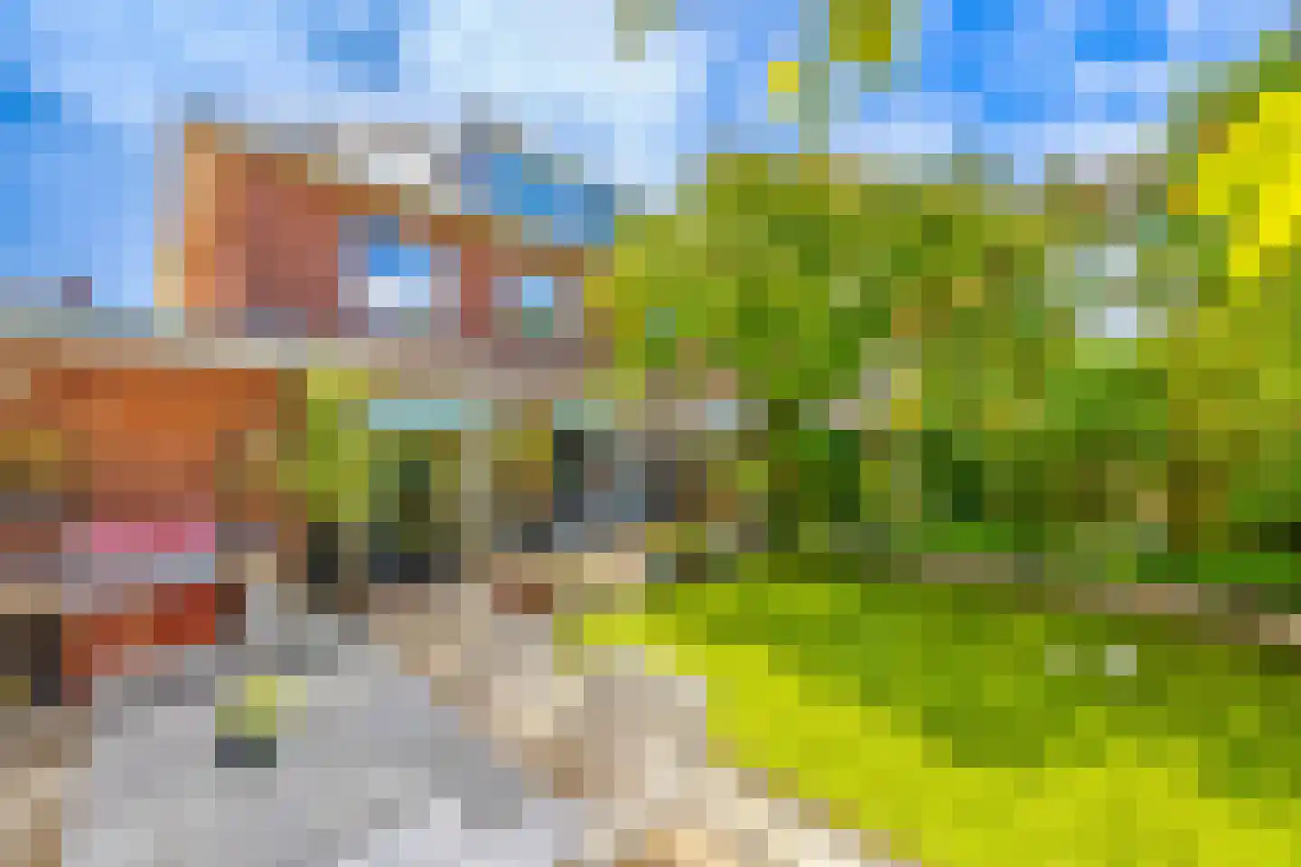 Gravin Gertrude 7 Huizen thumbnail 34