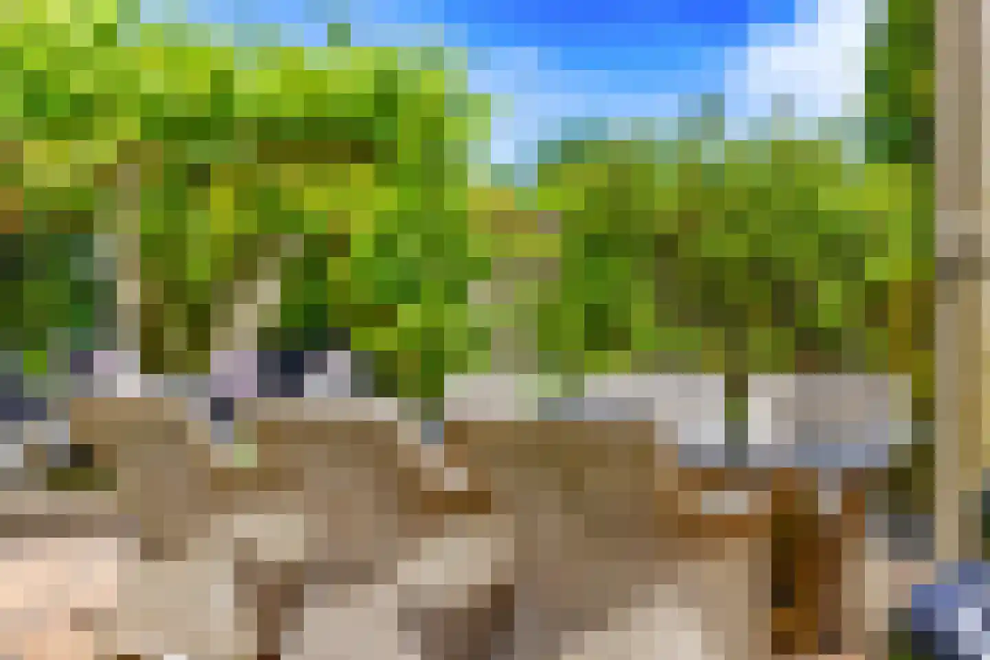 Gravin Gertrude 7 Huizen thumbnail 36