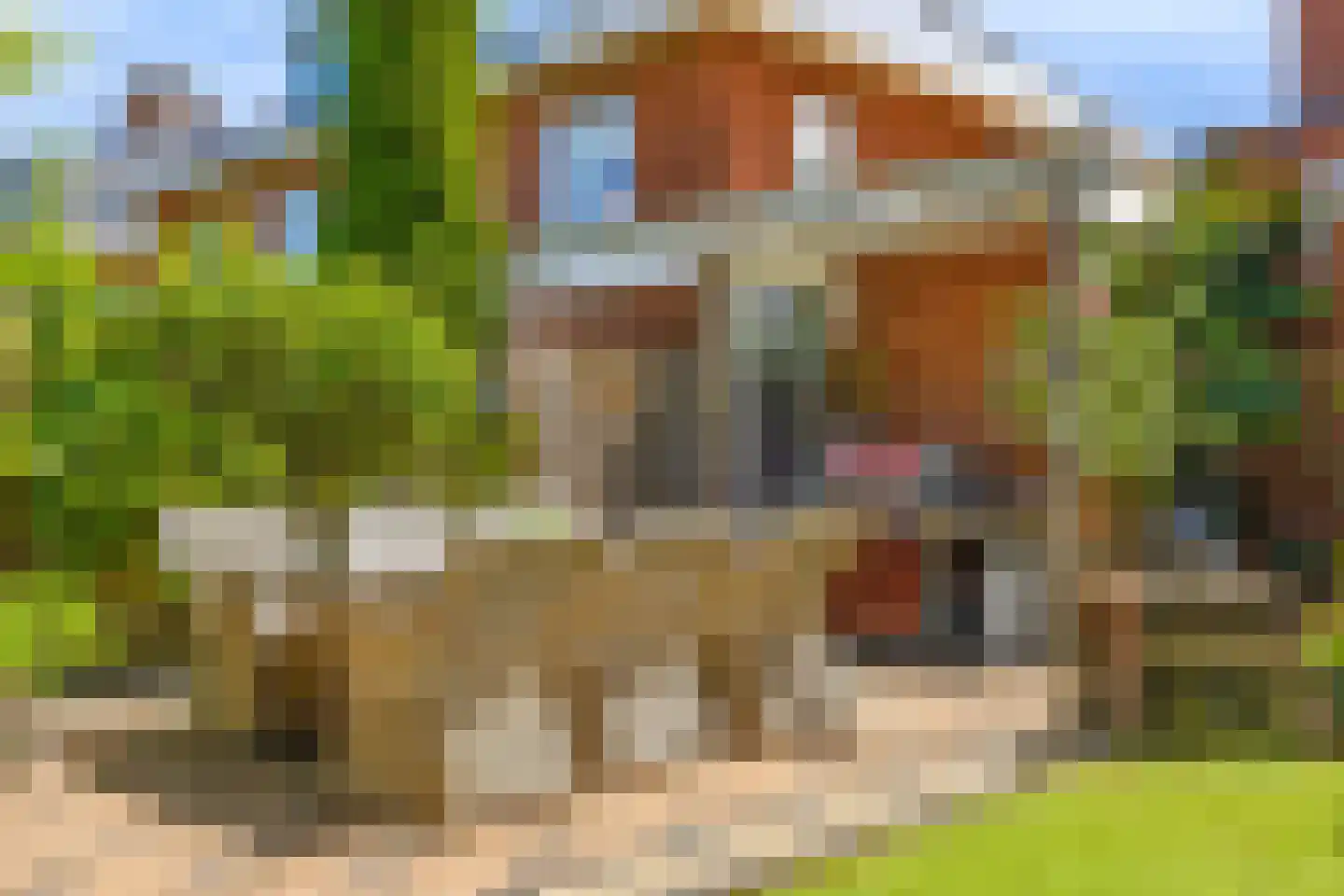 Gravin Gertrude 7 Huizen thumbnail 38