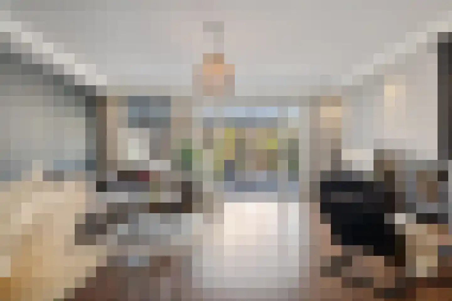 Gravin Gevalaan 43 Den Haag thumbnail 15