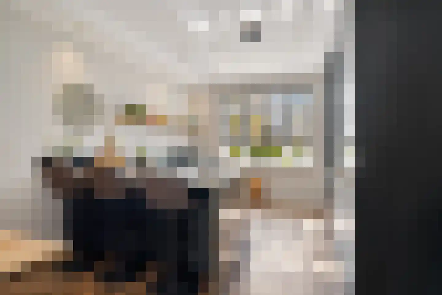Gravin Gevalaan 43 Den Haag thumbnail 18