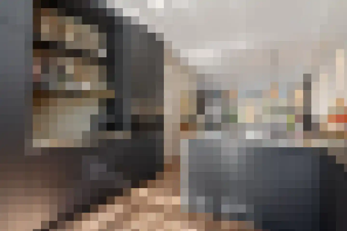 Gravin Gevalaan 43 Den Haag thumbnail 20