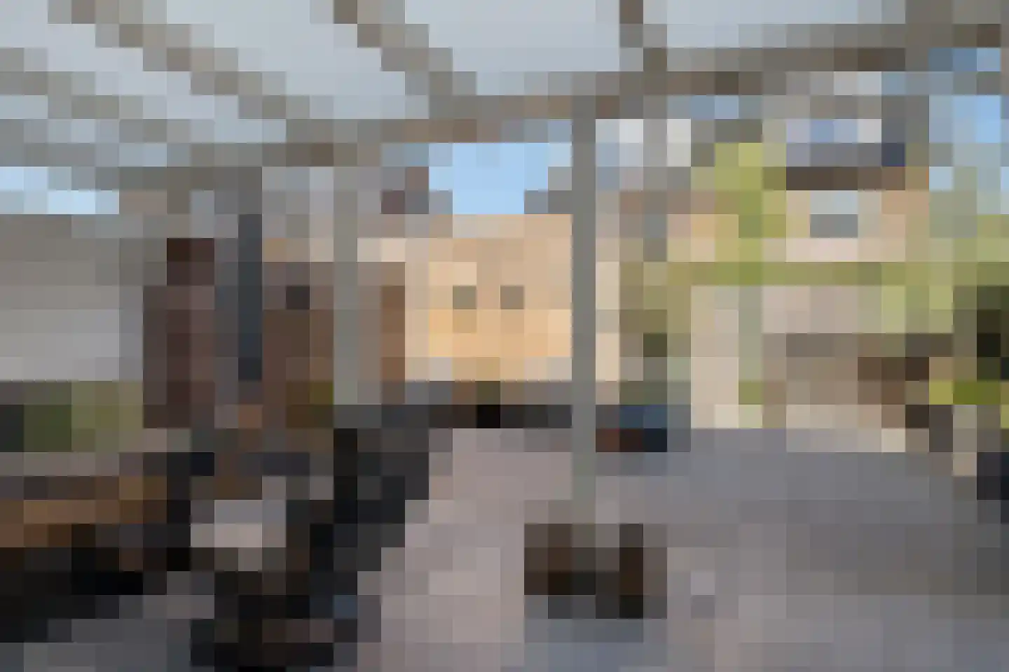 Gravin Gevalaan 43 Den Haag thumbnail 23
