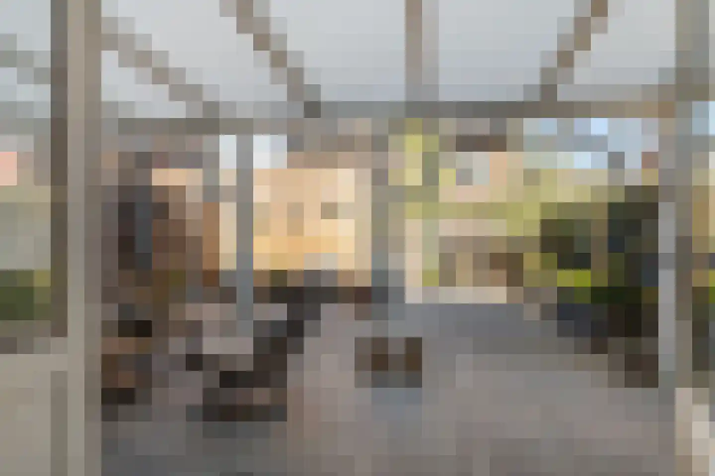 Gravin Gevalaan 43 Den Haag thumbnail 4
