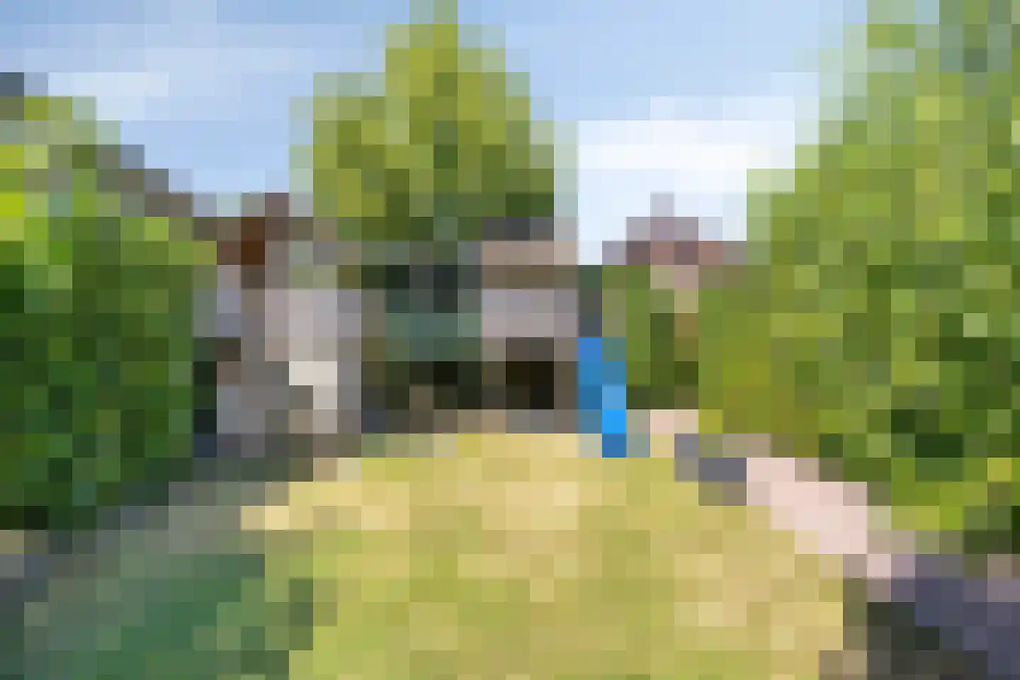 Gravin Helenastraat 13 's-Hertogenbosch thumbnail 27