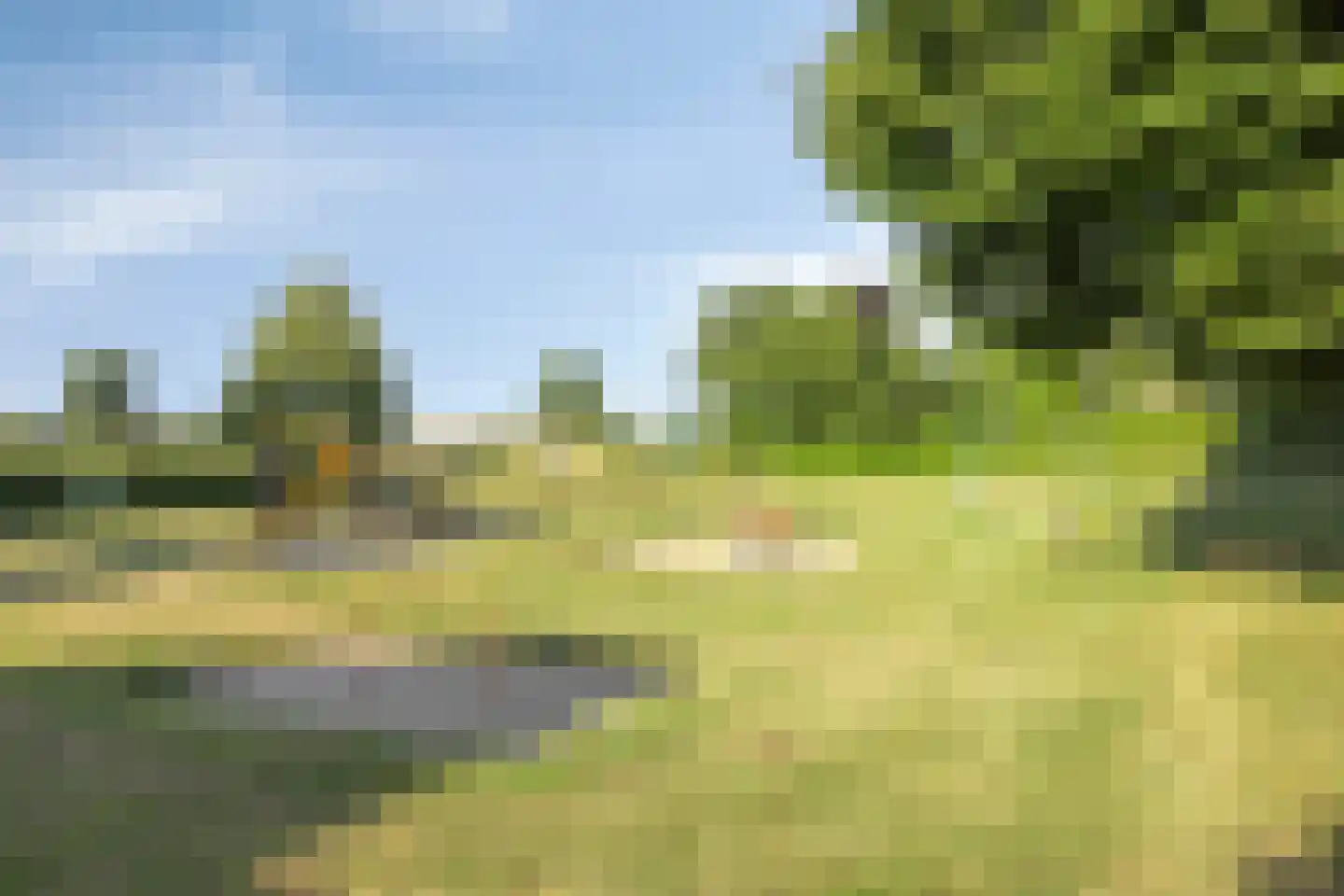 Gravin Helenastraat 13 's-Hertogenbosch thumbnail 51
