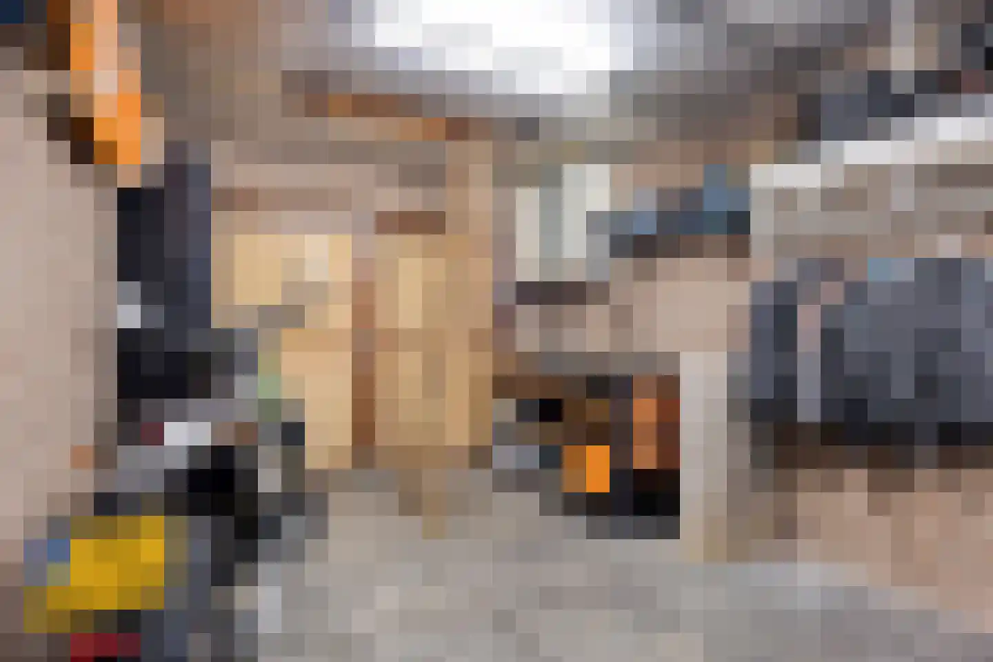 Gravin Helenastraat 17 's-Hertogenbosch thumbnail 34