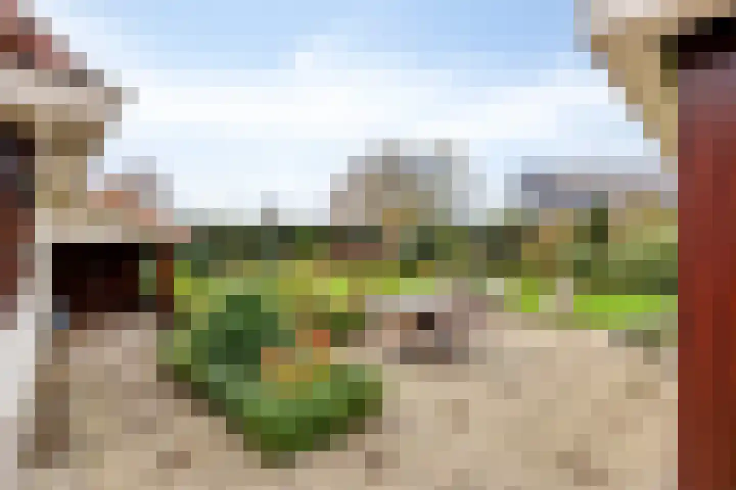 Gravin Helenastraat 17 's-Hertogenbosch thumbnail 57