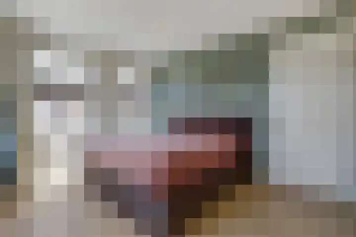 Gravin Hildegardelaan 13 Den Haag thumbnail 11