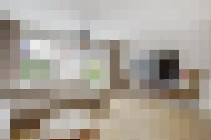 Gravin Hildegardelaan 13 Den Haag thumbnail 5