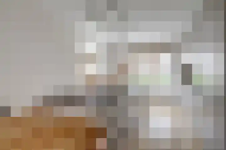 Gravin Hildegardelaan 13 Den Haag thumbnail 8