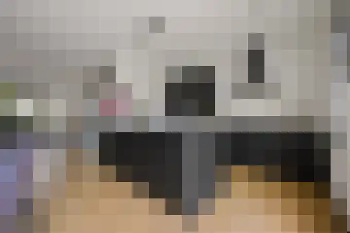 Gravin Hildegardelaan 17 Den Haag thumbnail 15