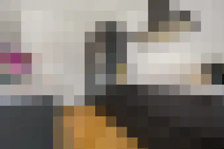 Gravin Hildegardelaan 17 Den Haag thumbnail 17