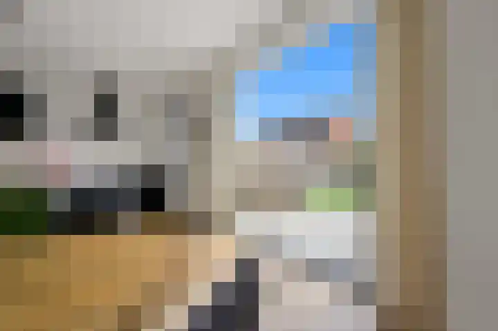 Gravin Hildegardelaan 17 Den Haag thumbnail 19