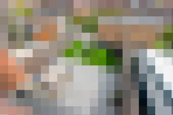 Gravin Hildegardelaan 17 Den Haag thumbnail 29
