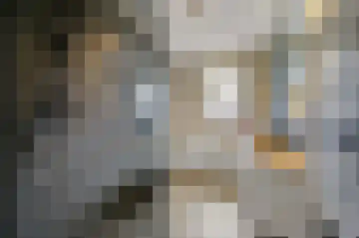 Gravin Hildegardelaan 17 Den Haag thumbnail 33