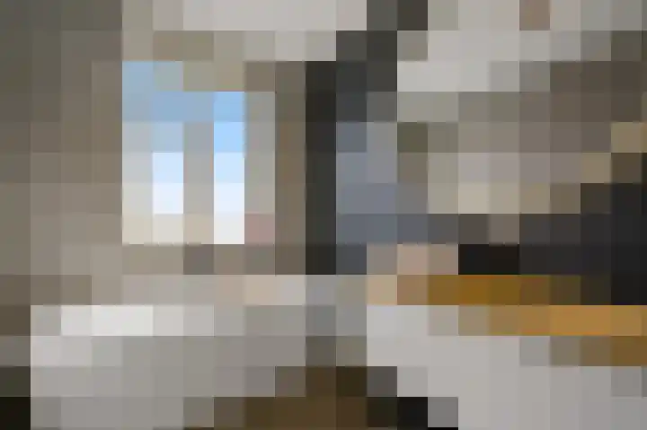 Gravin Hildegardelaan 17 Den Haag thumbnail 4