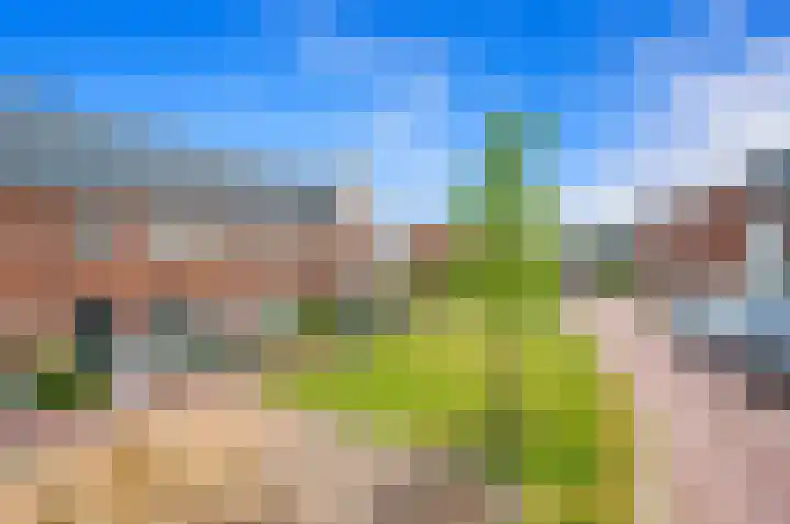 Gravin Hildegardelaan 17 Den Haag thumbnail 6