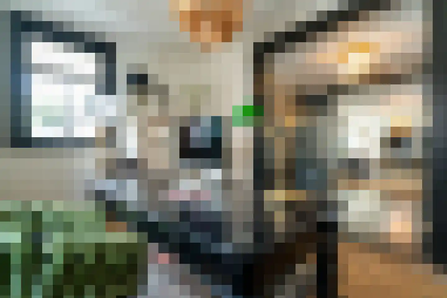 Gravin Jacobalaan 17 A Den Haag thumbnail 28