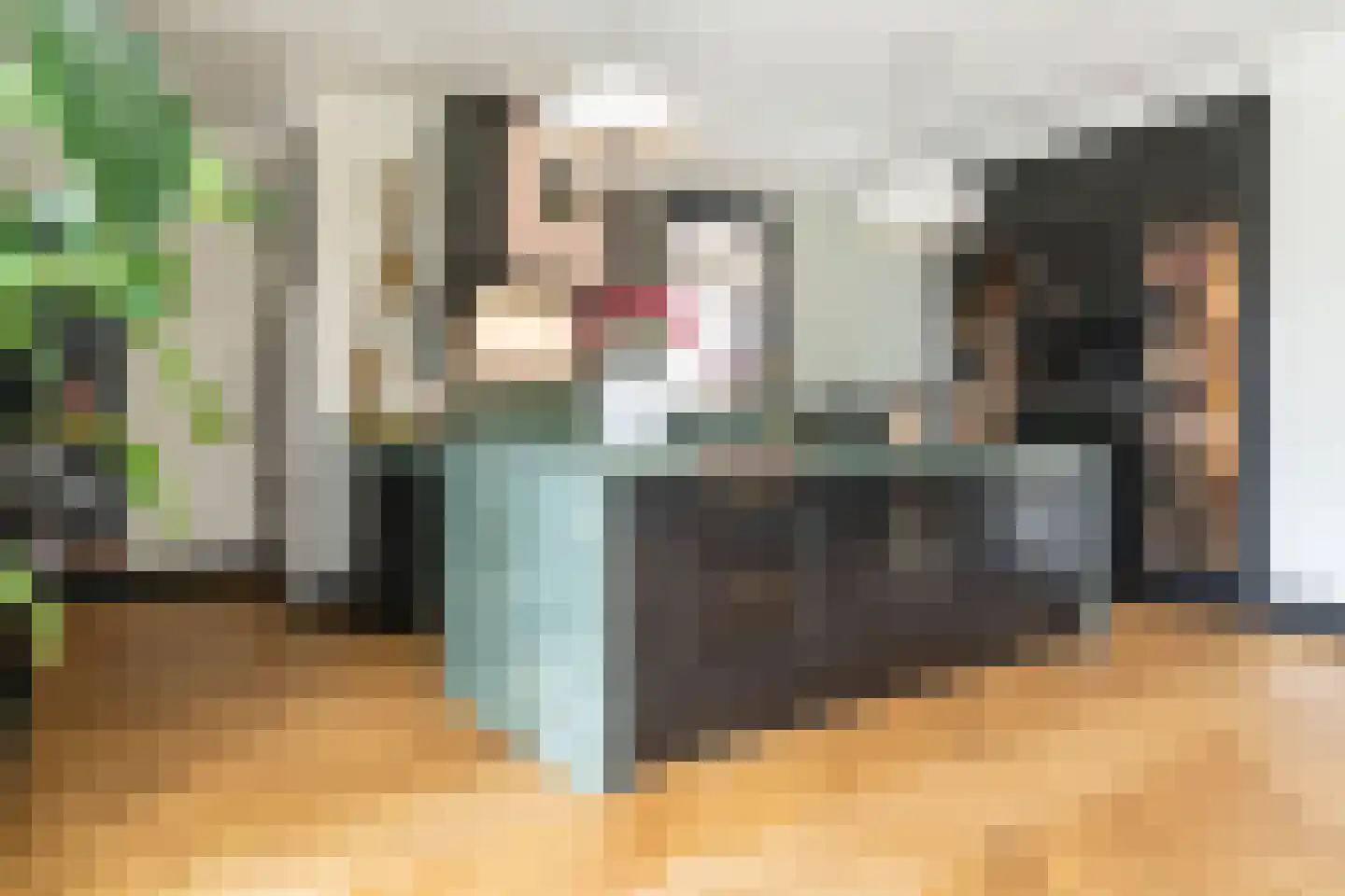 Gravin Jacobalaan 17 A Den Haag thumbnail 33