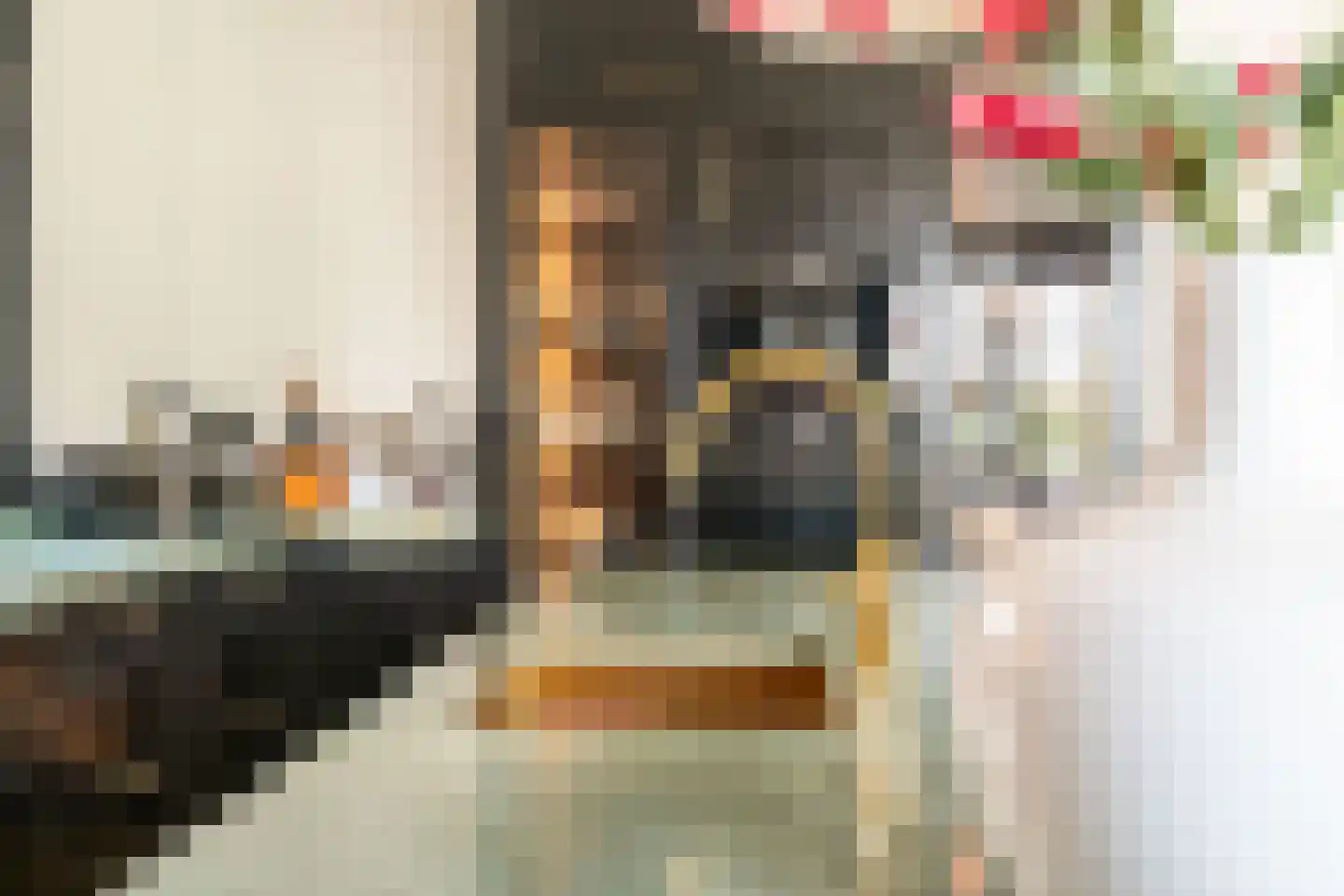 Gravin Jacobalaan 17 A Den Haag thumbnail 34