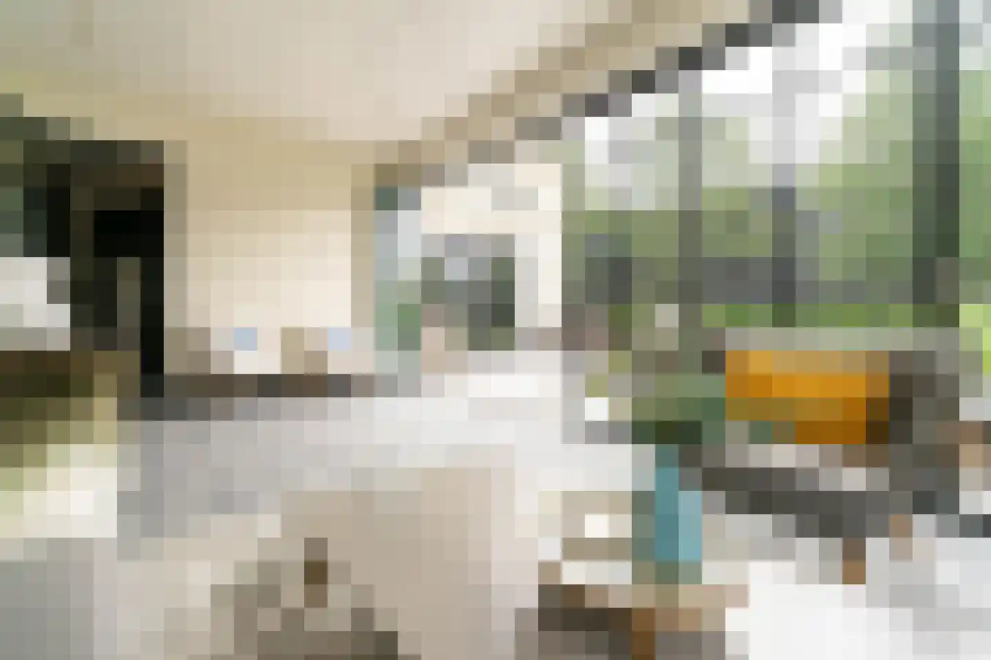 Gravin Jacobalaan 17 A Den Haag thumbnail 44