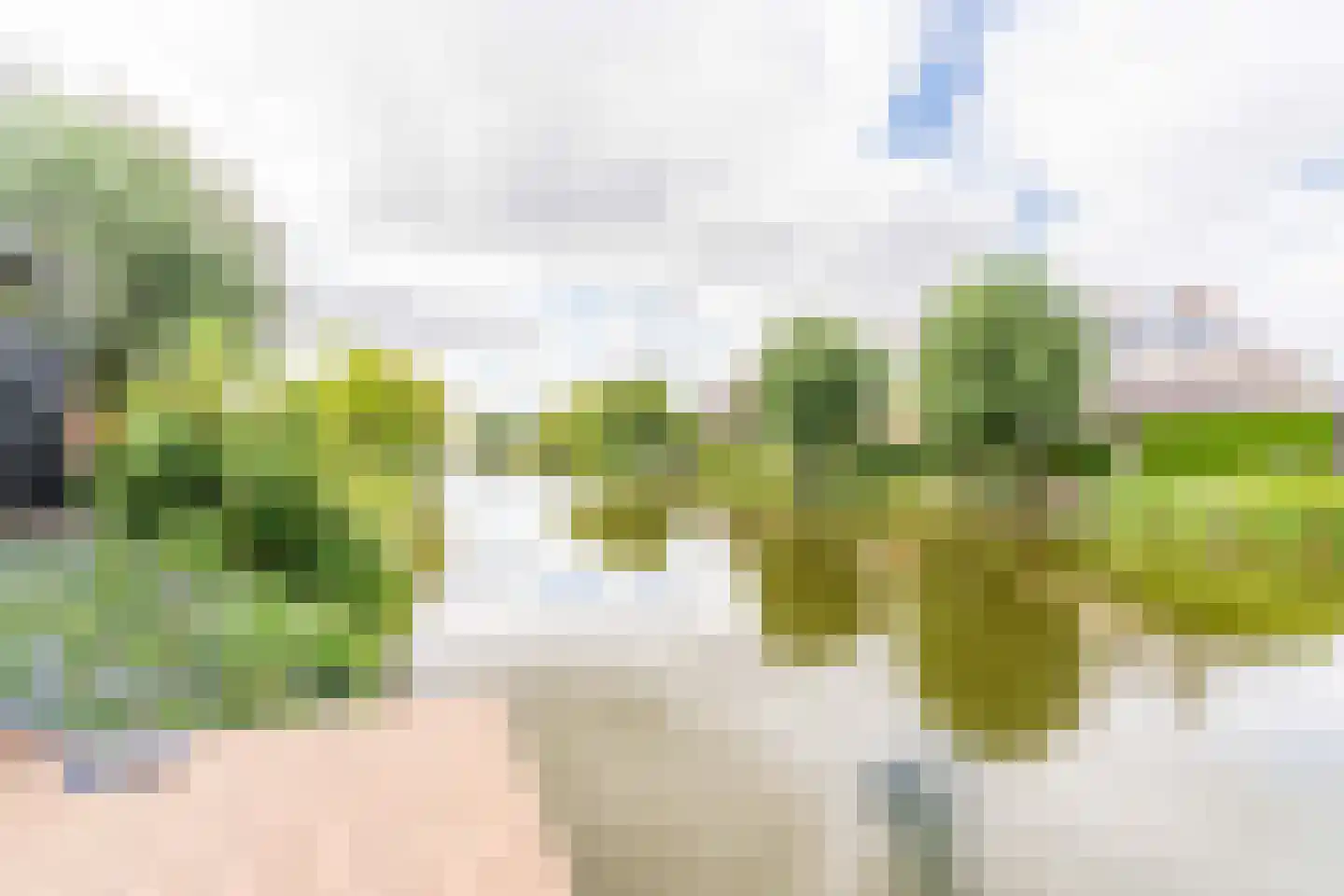 Gravin Jacobalaan 17 A Den Haag thumbnail 48