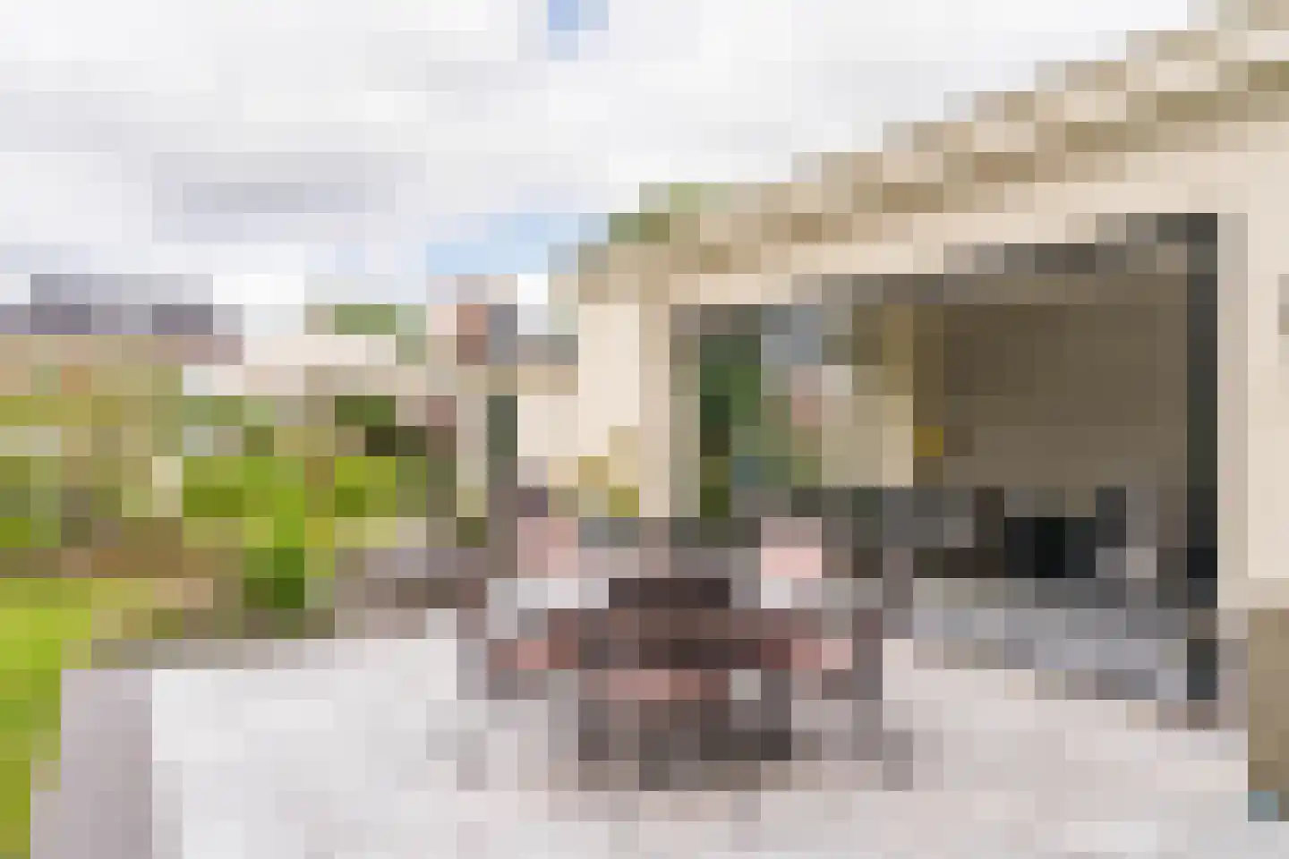 Gravin Jacobalaan 17 A Den Haag thumbnail 55