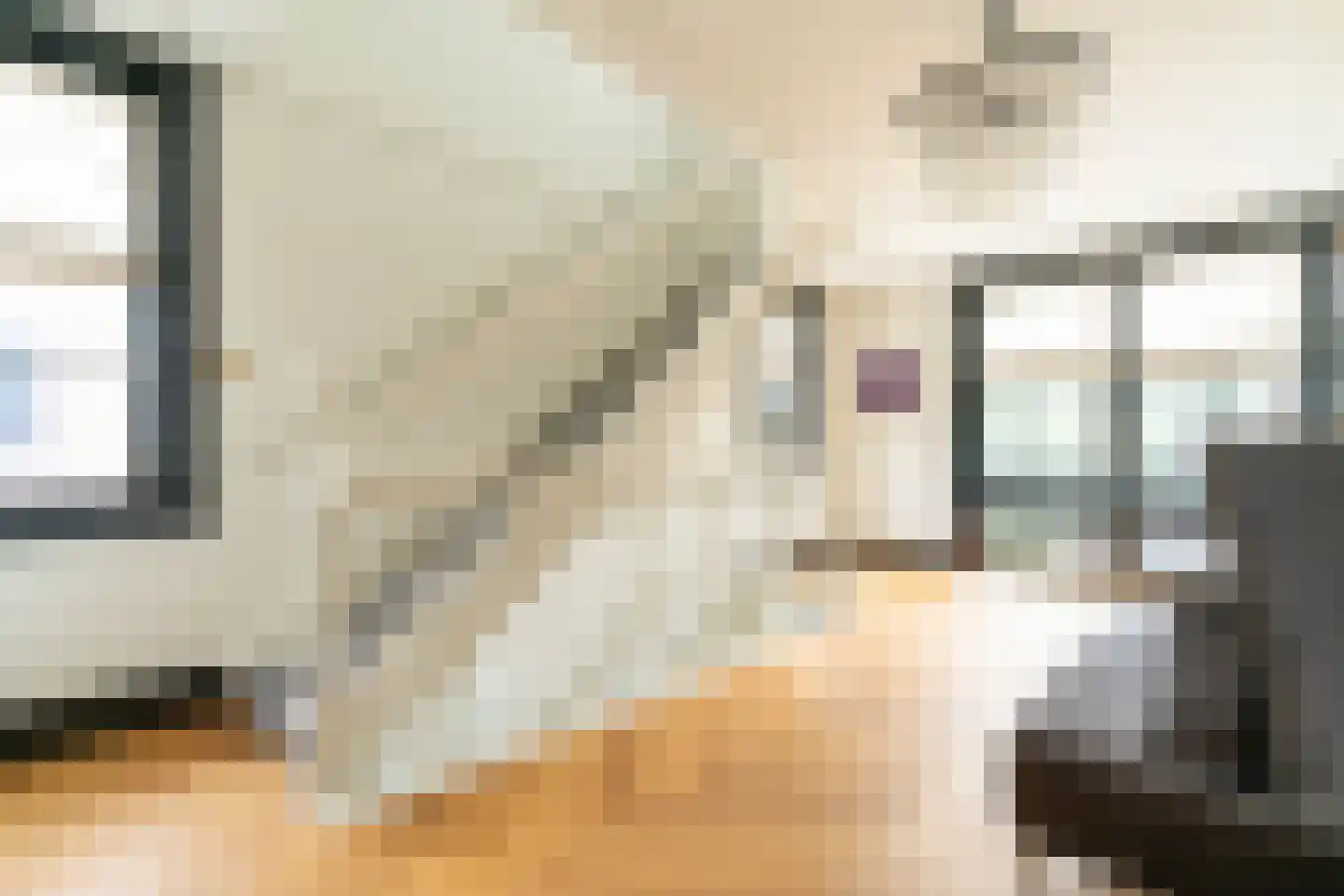 Gravin Jacobalaan 17 A Den Haag thumbnail 57