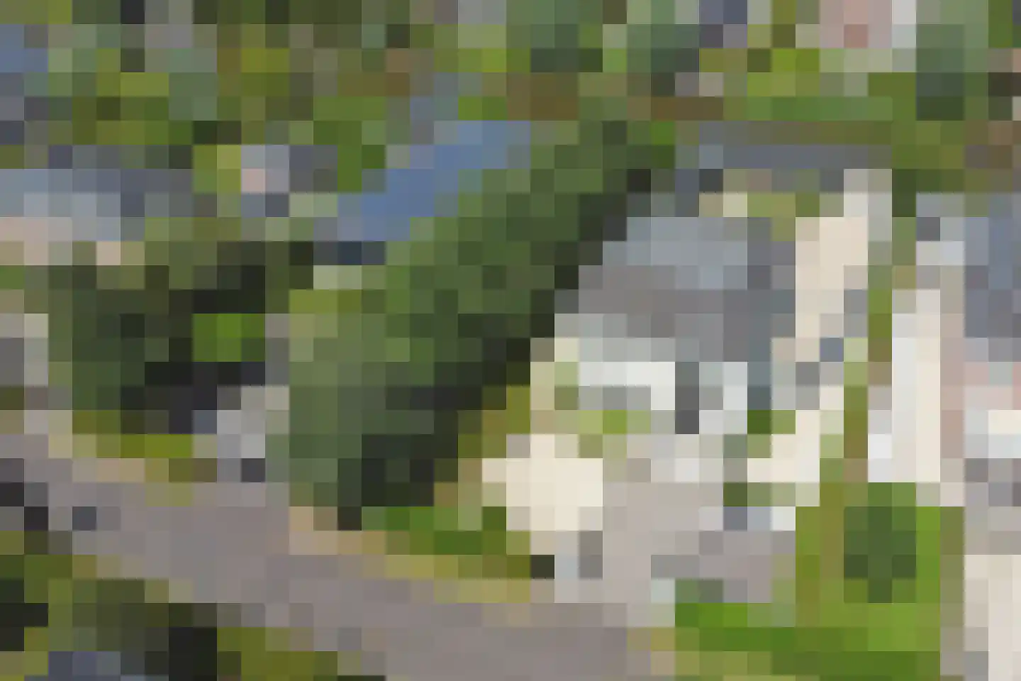 Gravin Jacobalaan 17 A Den Haag thumbnail 6