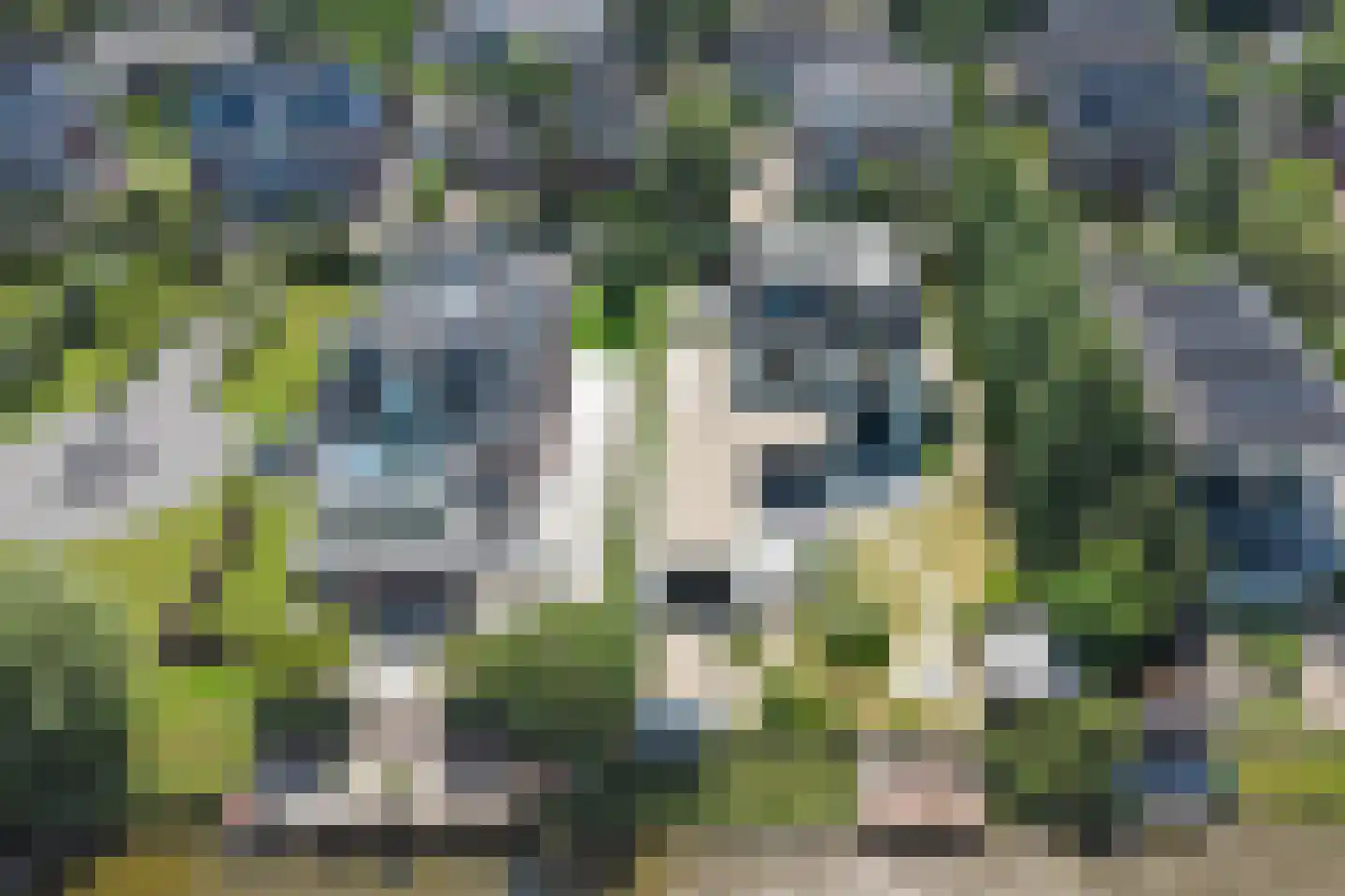 Gravin Jacobalaan 17 A Den Haag thumbnail 7