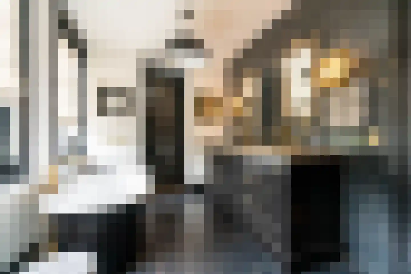 Gravin Jacobalaan 17 A Den Haag thumbnail 71