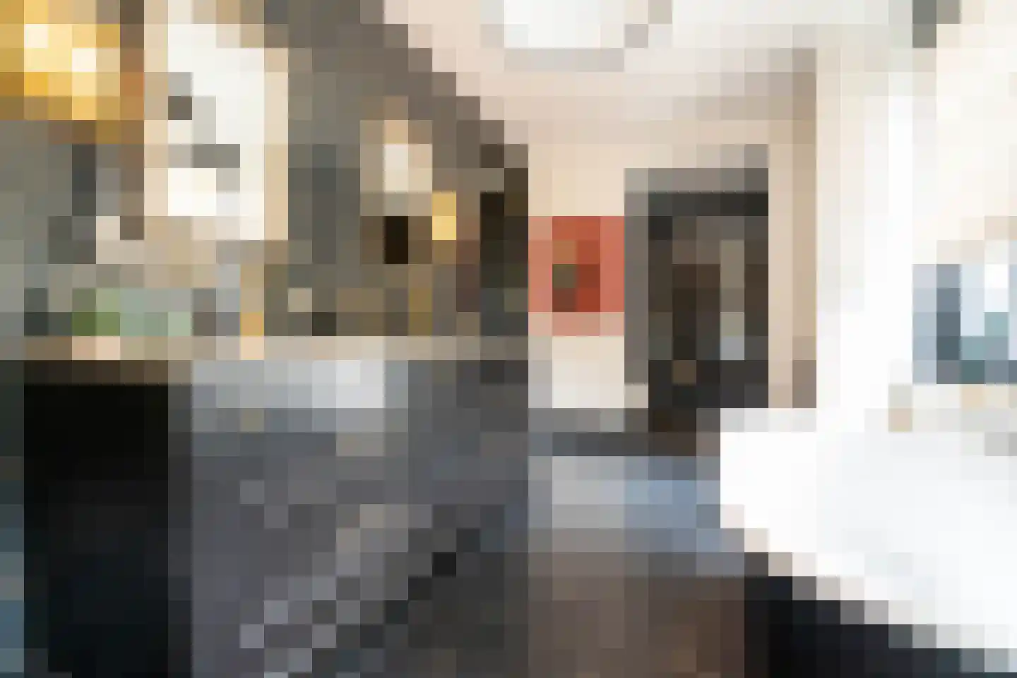 Gravin Jacobalaan 17 A Den Haag thumbnail 72