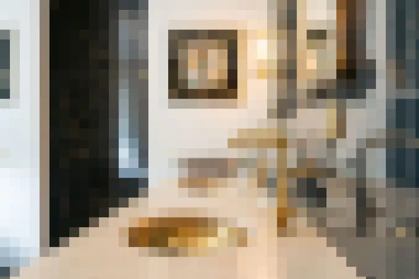 Gravin Jacobalaan 17 A Den Haag thumbnail 73