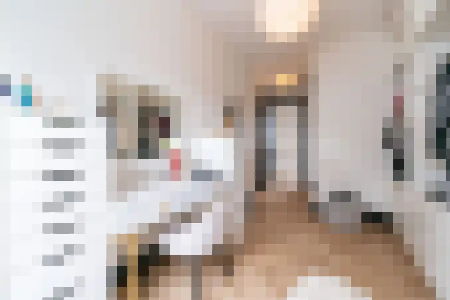 Gravin Jacobalaan 17 A Den Haag thumbnail 84