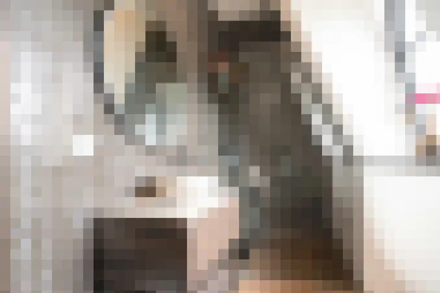 Gravin Jacobalaan 17 A Den Haag thumbnail 87