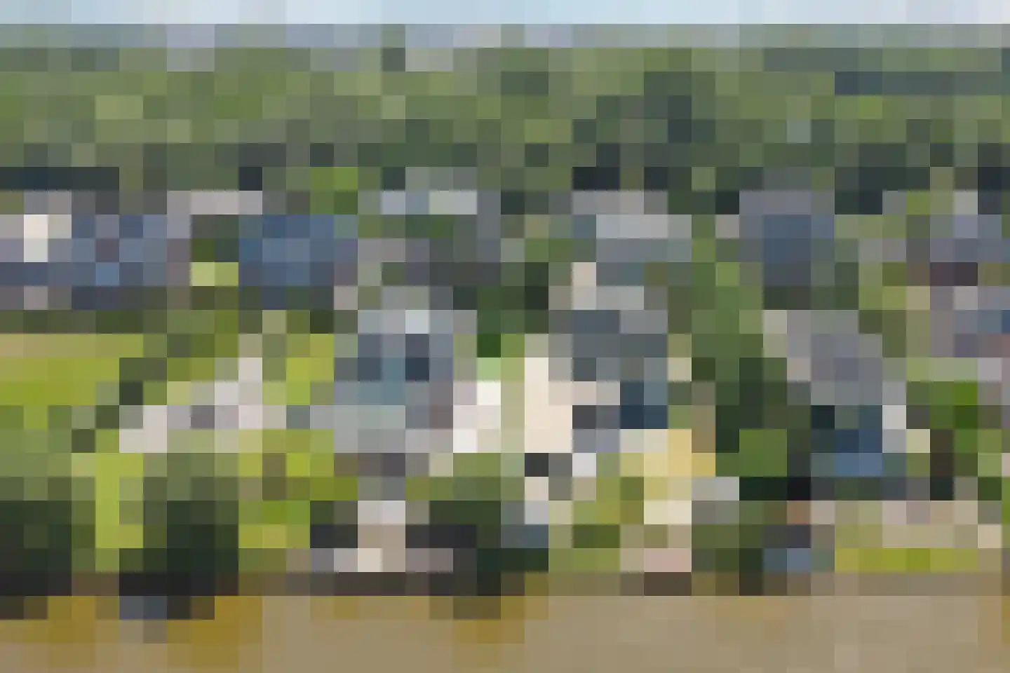 Gravin Jacobalaan 17 A Den Haag thumbnail 93