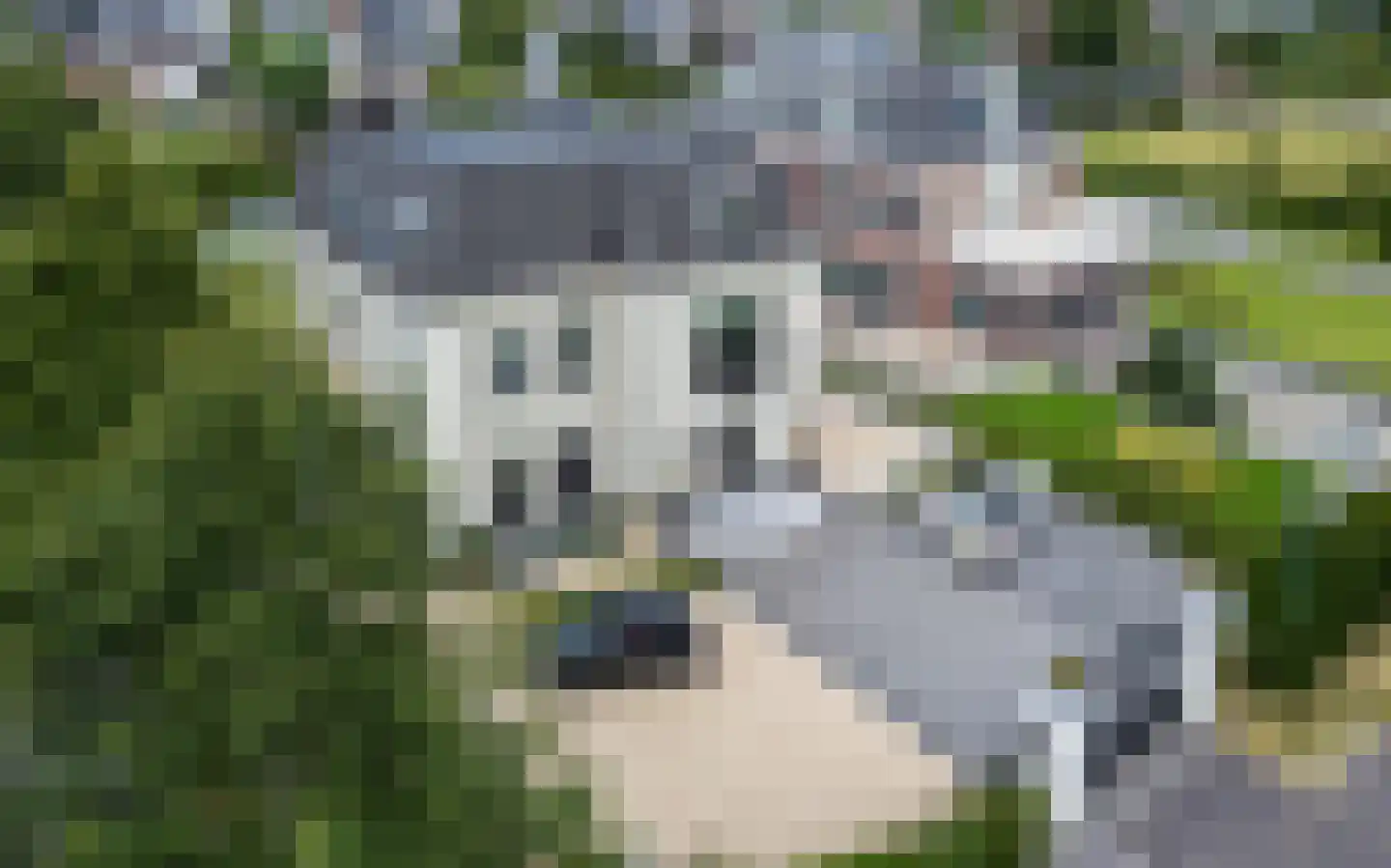 Gravin Jacobalaan 17 A Den Haag thumbnail 99