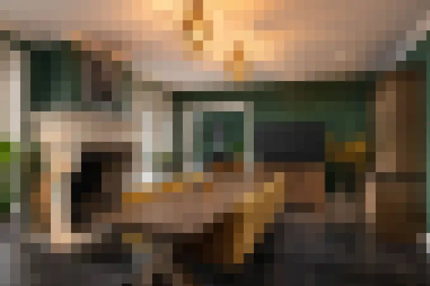 Gravin Jacobalaan 23 Den Haag thumbnail 11