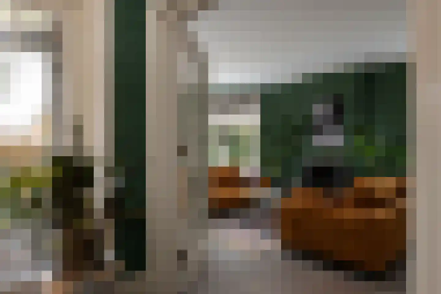 Gravin Jacobalaan 23 Den Haag thumbnail 12